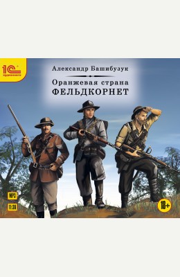 Александр Башибузук: Оранжевая страна. Фельдкорнет
