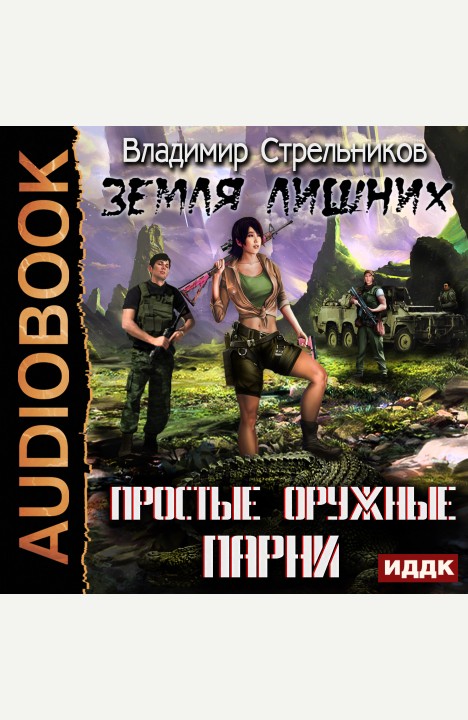 Владимир Стрельников: Простые оружные парни