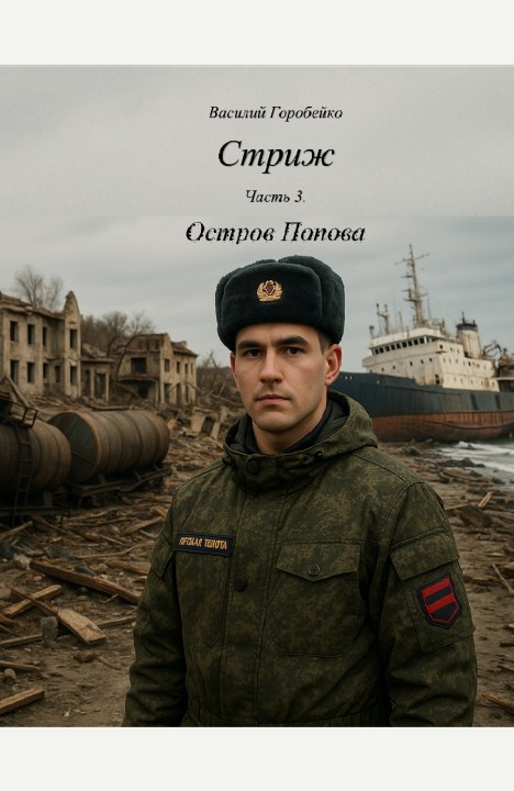 Василий Горобейко: Стриж 3. Остров Попова