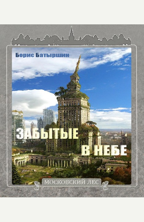 Борис Батыршин: Забытые в небе