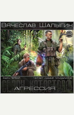 Вячеслав Шалыгин: Агрессия Вячеслав Шалыгин: Агрессия