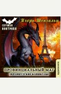 Провинциальный маг. Французские каникулы